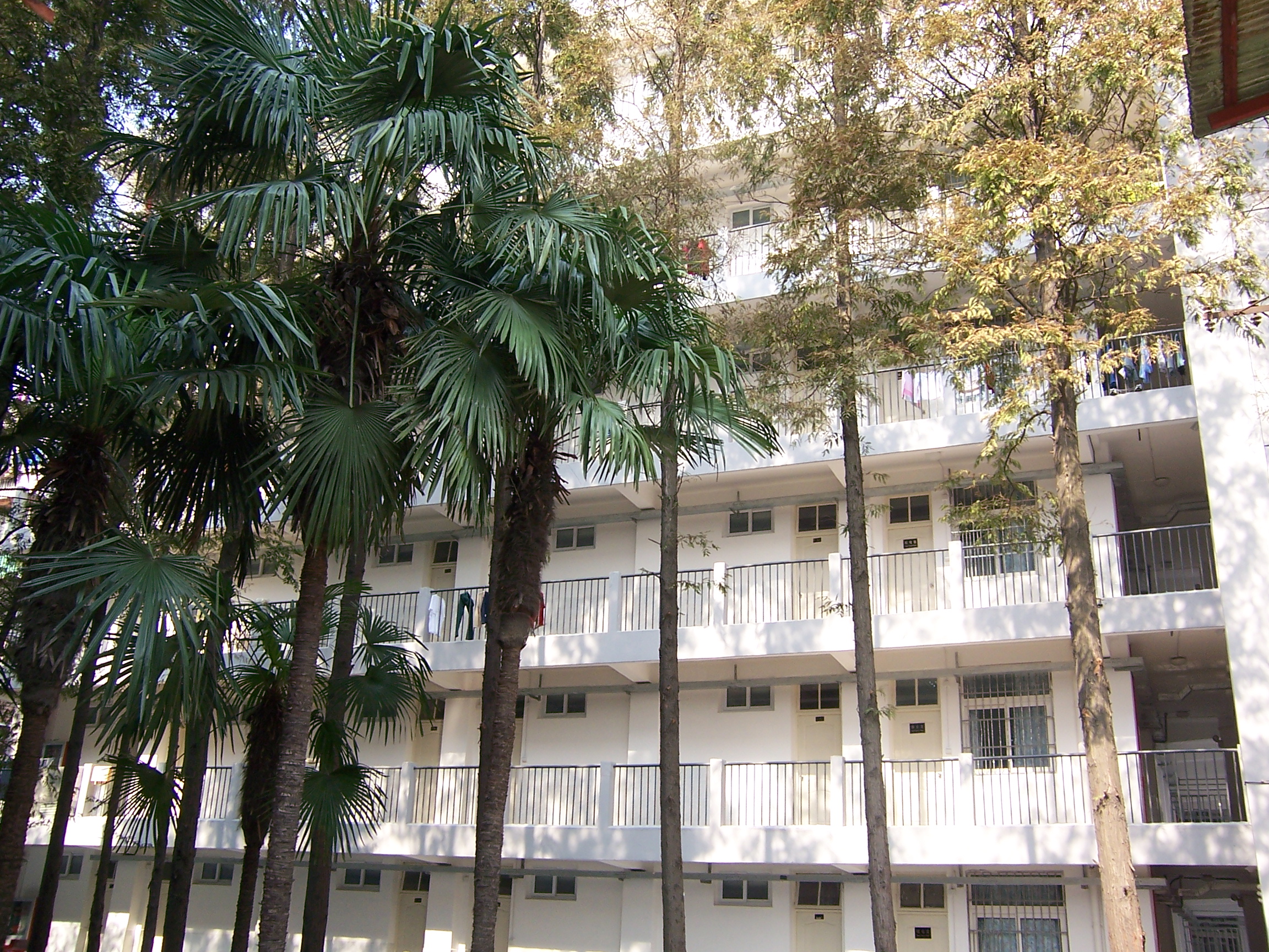 International student apartment